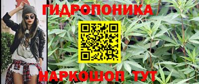 каннабис Новодвинск