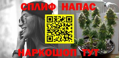 каннабис Новодвинск